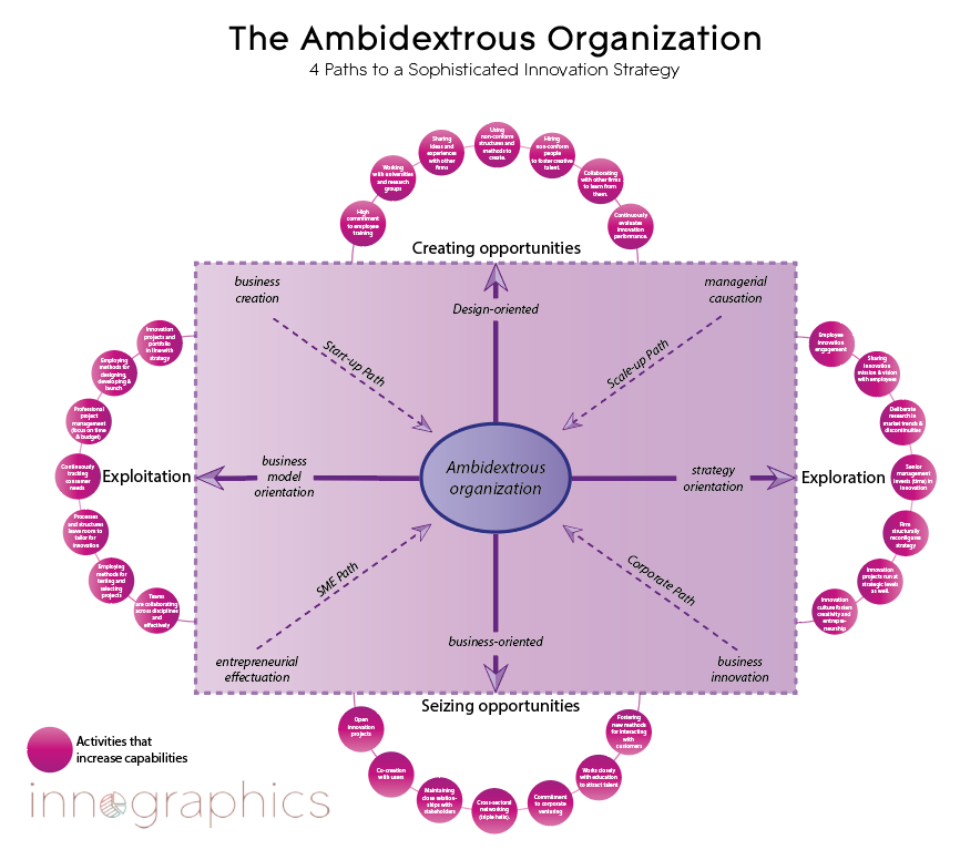 Ambidextruous Organization